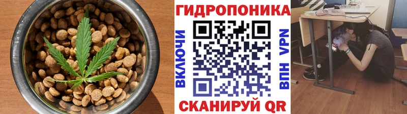 Canna-Cookies марихуана  Купить закладки  Николаевск-на-Амуре 
