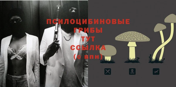 ГАЛЛЮЦИНОГЕННЫЕ ГРИБЫ Богородицк