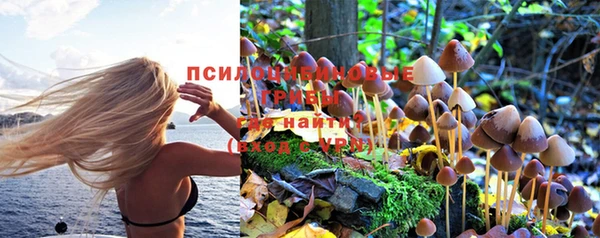 ГАЛЛЮЦИНОГЕННЫЕ ГРИБЫ Богородицк