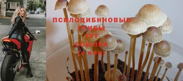 мдпв Беломорск