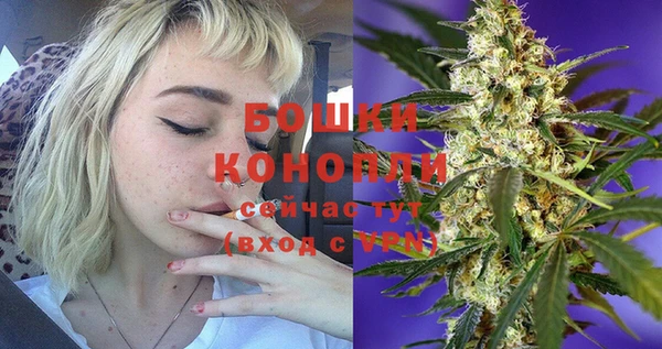 индика Белокуриха
